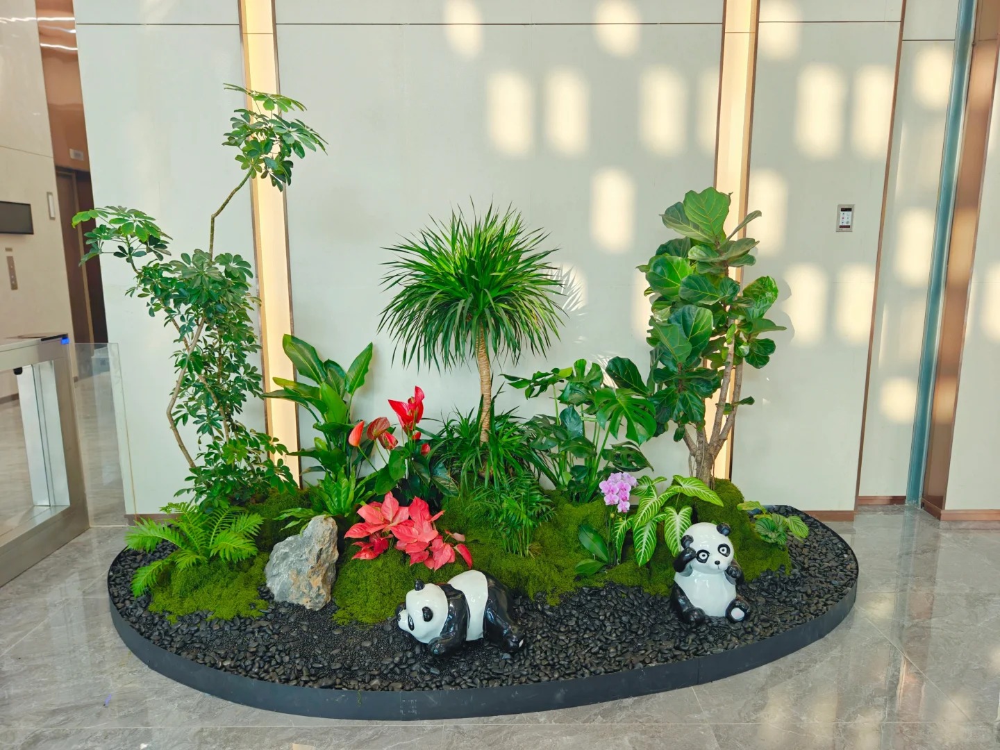 实惠盆景租赁，就在宁波前湾，速来！