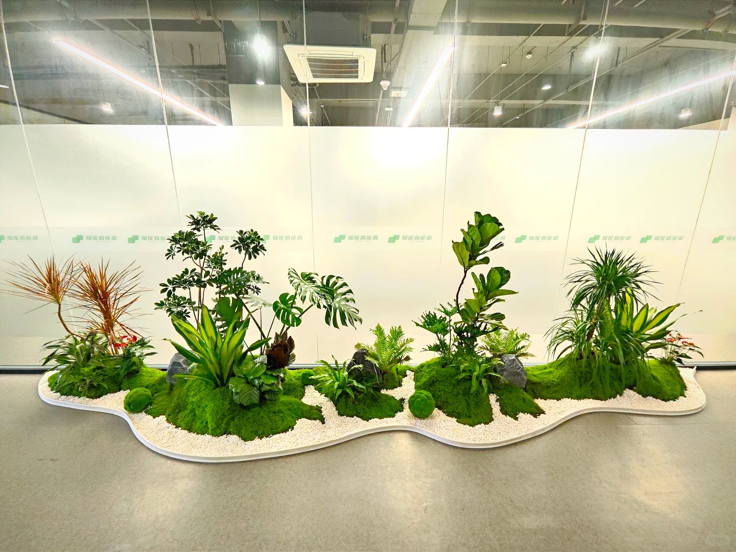 超实用杭州湾植物租赁方案，打造别样空间